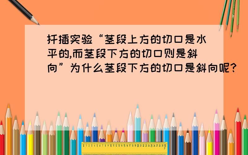 扦插实验“茎段上方的切口是水平的,而茎段下方的切口则是斜向”为什么茎段下方的切口是斜向呢?