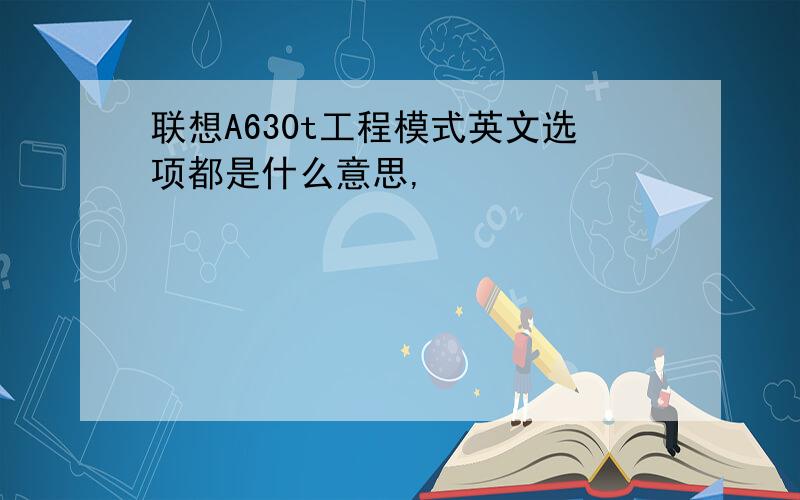 联想A630t工程模式英文选项都是什么意思,