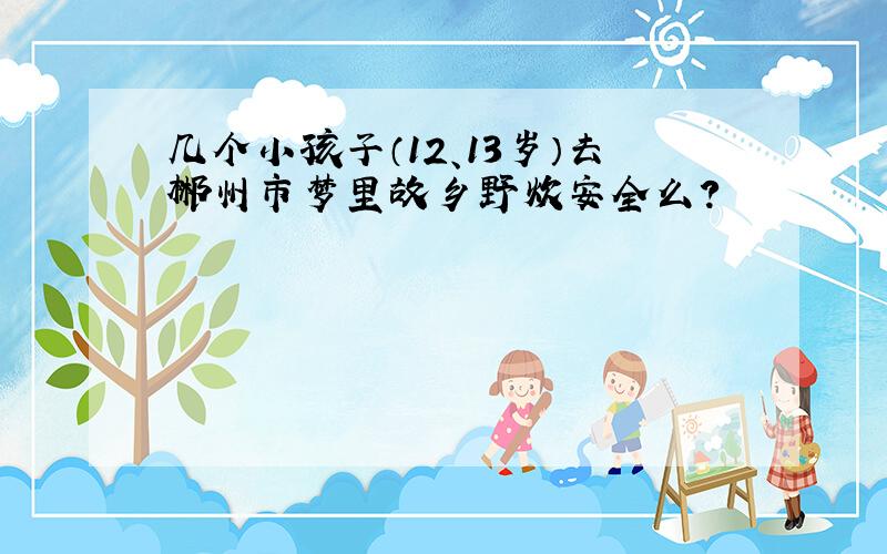 几个小孩子（12、13岁）去郴州市梦里故乡野炊安全么?