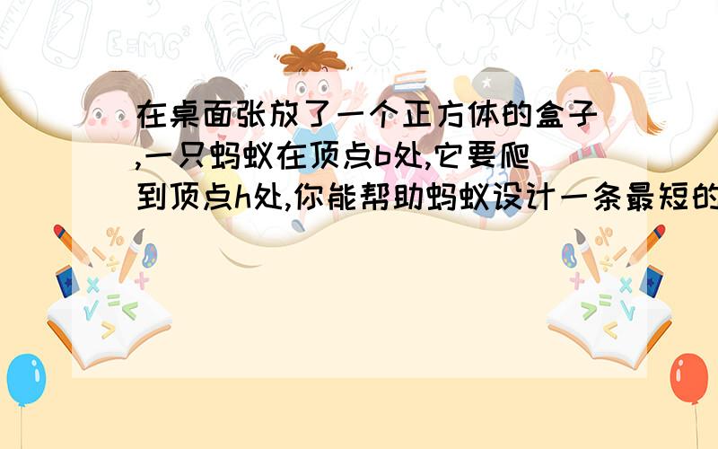 在桌面张放了一个正方体的盒子,一只蚂蚁在顶点b处,它要爬到顶点h处,你能帮助蚂蚁设计一条最短的爬行路线吗