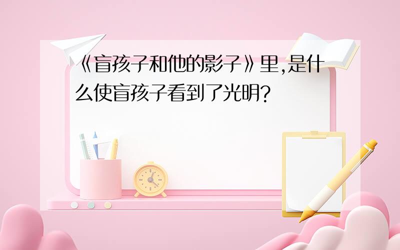 《盲孩子和他的影子》里,是什么使盲孩子看到了光明?