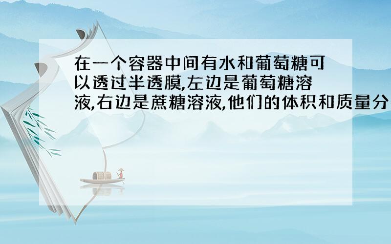 在一个容器中间有水和葡萄糖可以透过半透膜,左边是葡萄糖溶液,右边是蔗糖溶液,他们的体积和质量分数相同