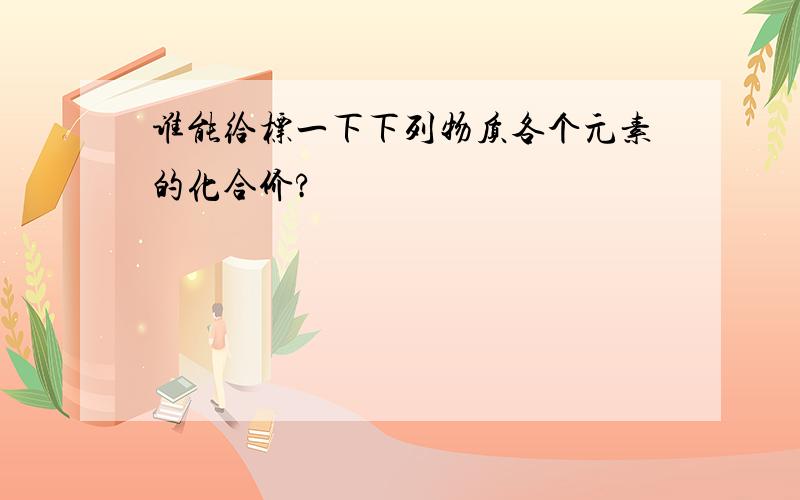 谁能给标一下下列物质各个元素的化合价?