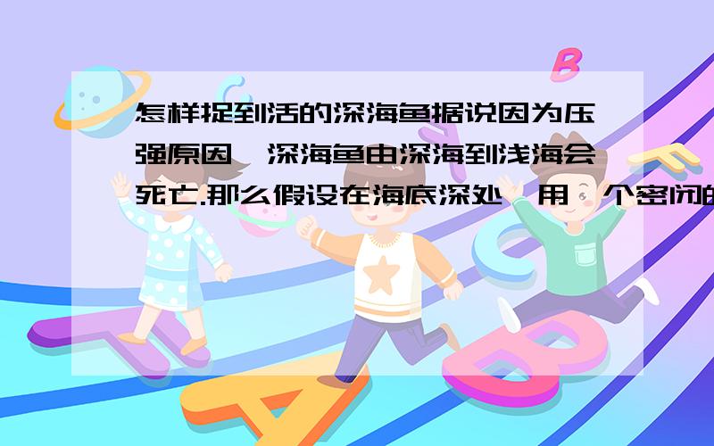 怎样捉到活的深海鱼据说因为压强原因,深海鱼由深海到浅海会死亡.那么假设在海底深处,用一个密闭的箱子将深海鱼与附近的海水完