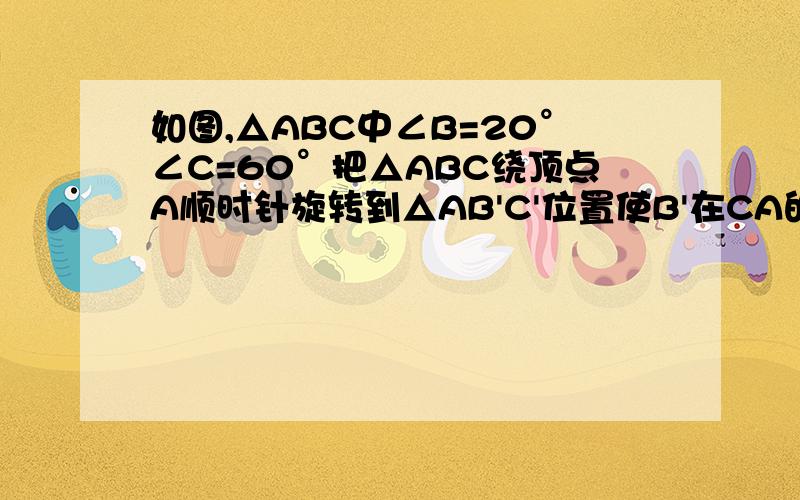 如图,△ABC中∠B=20°∠C=60°把△ABC绕顶点A顺时针旋转到△AB'C'位置使B'在CA的延长上请问