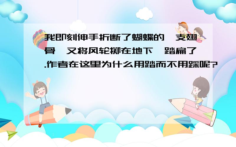 我即刻伸手折断了蝴蝶的一支翅骨,又将风轮掷在地下,踏扁了.作者在这里为什么用踏而不用踩呢?