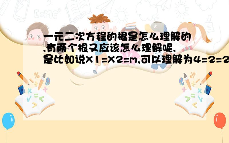 一元二次方程的根是怎么理解的,有两个根又应该怎么理解呢,是比如说X1=X2=m,可以理解为4=2=2么?