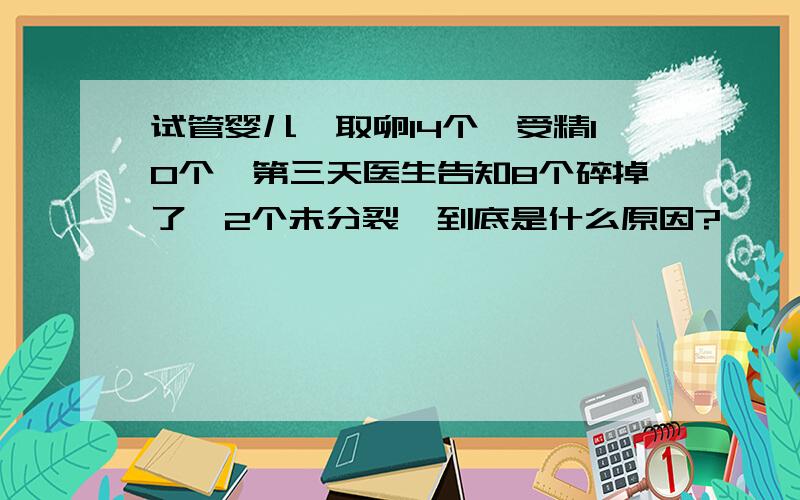 试管婴儿,取卵14个,受精10个,第三天医生告知8个碎掉了,2个未分裂,到底是什么原因?