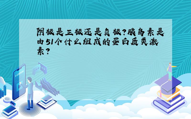 阴极是正极还是负极?胰岛素是由51个什么组成的蛋白质类激素?