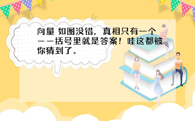 向量 如图没错，真相只有一个——括号里就是答案！哇这都被你猜到了。