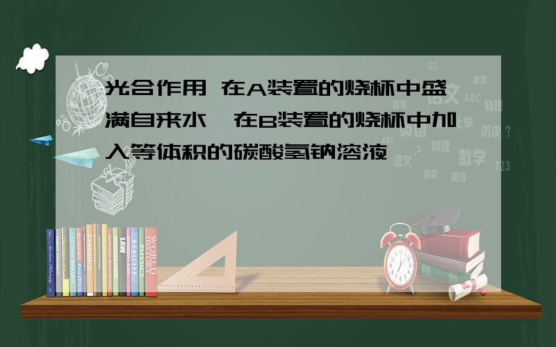 光合作用 在A装置的烧杯中盛满自来水,在B装置的烧杯中加入等体积的碳酸氢钠溶液