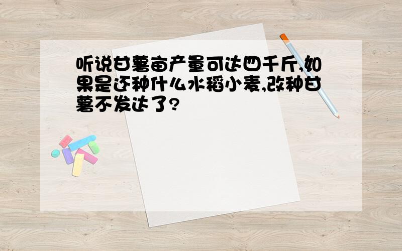 听说甘薯亩产量可达四千斤,如果是还种什么水稻小麦,改种甘薯不发达了?