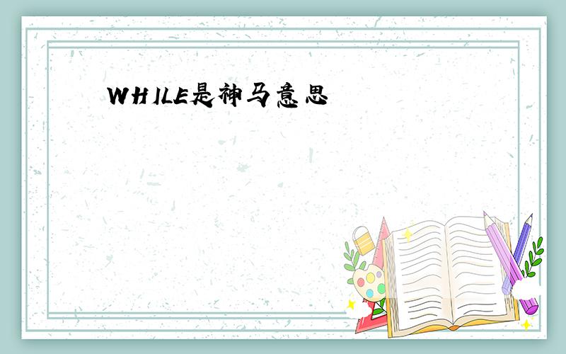 WHILE是神马意思