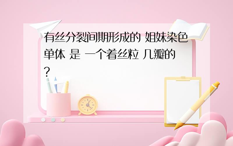 有丝分裂间期形成的 姐妹染色单体 是 一个着丝粒 几瓣的?