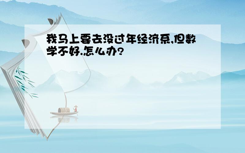 我马上要去没过年经济系,但数学不好.怎么办?