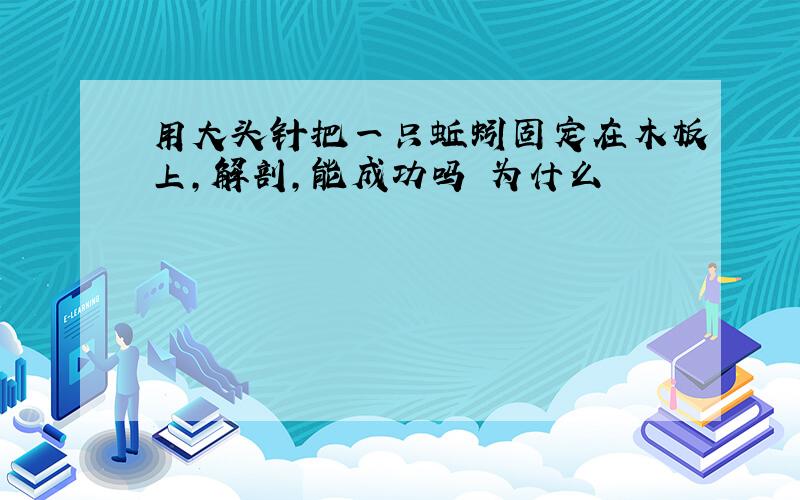 用大头针把一只蚯蚓固定在木板上,解剖,能成功吗 为什么