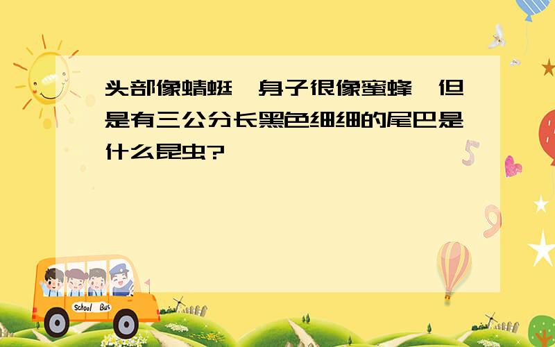 头部像蜻蜓,身子很像蜜蜂,但是有三公分长黑色细细的尾巴是什么昆虫?