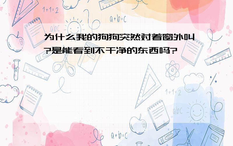 为什么我的狗狗突然对着窗外叫?是能看到不干净的东西吗?