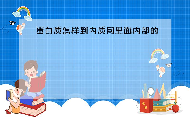 蛋白质怎样到内质网里面内部的