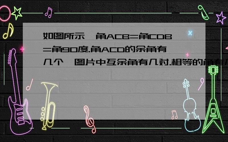 如图所示,角ACB=角CDB=角90度.角ACD的余角有几个,图片中互余角有几对.相等的角有几对?