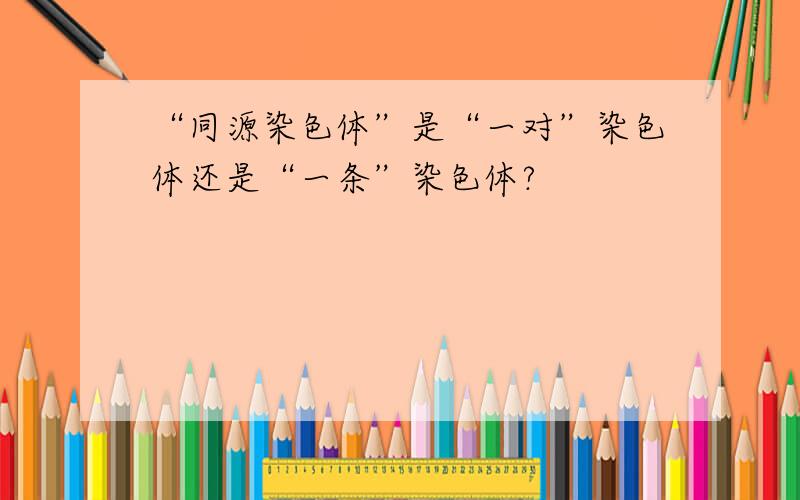 “同源染色体”是“一对”染色体还是“一条”染色体?