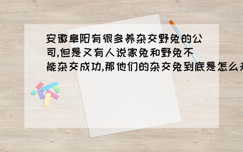 安徽阜阳有很多养杂交野兔的公司,但是又有人说家兔和野兔不能杂交成功,那他们的杂交兔到底是怎么来的?