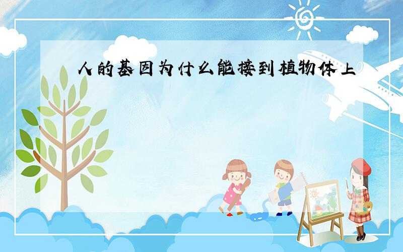 人的基因为什么能接到植物体上