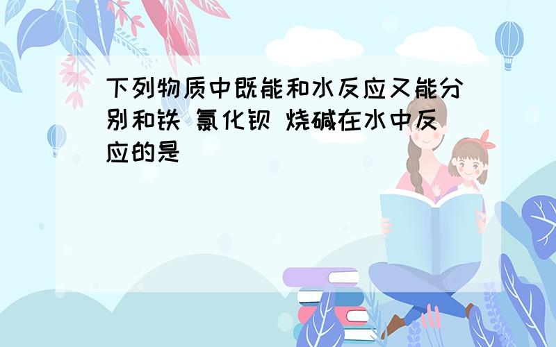 下列物质中既能和水反应又能分别和铁 氯化钡 烧碱在水中反应的是