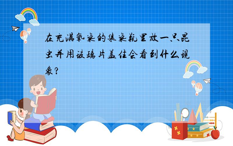 在充满氧气的集气瓶里放一只昆虫并用玻璃片盖住会看到什么现象?