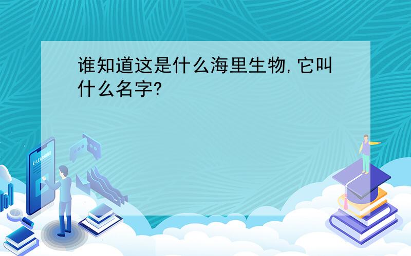 谁知道这是什么海里生物,它叫什么名字?