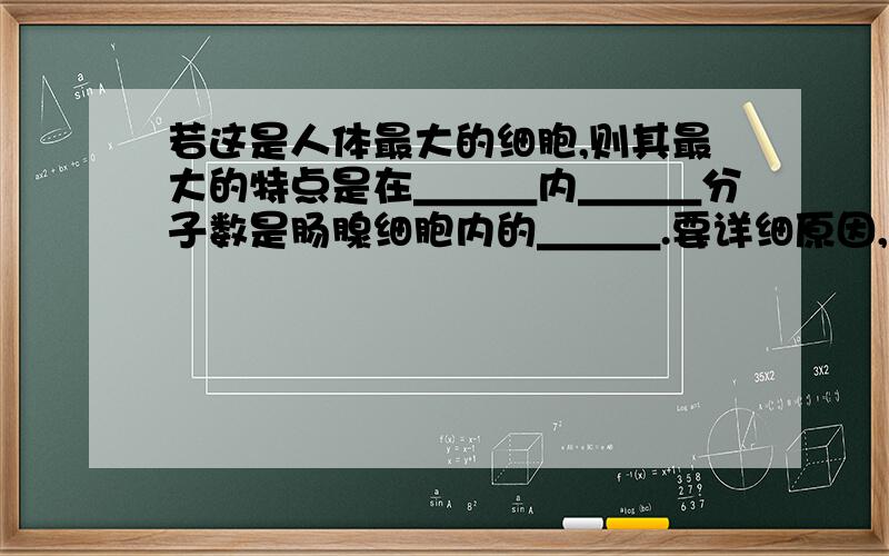 若这是人体最大的细胞,则其最大的特点是在＿＿＿内＿＿＿分子数是肠腺细胞内的＿＿＿.要详细原因,谢...