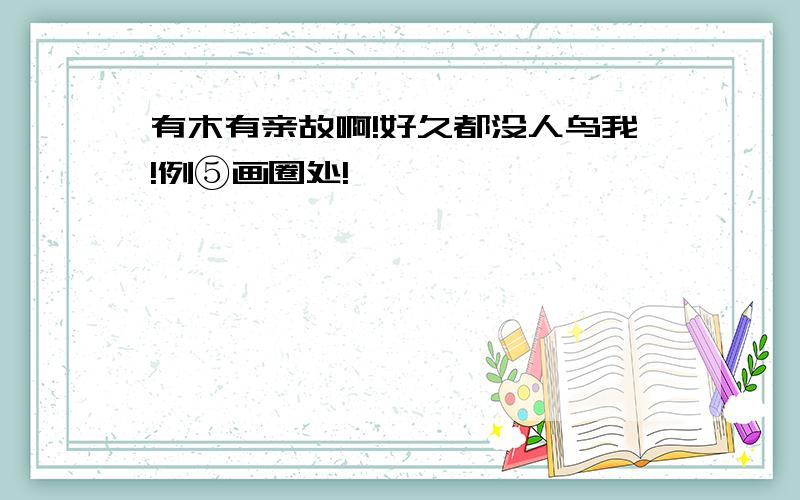 有木有亲故啊!好久都没人鸟我!例⑤画圈处!