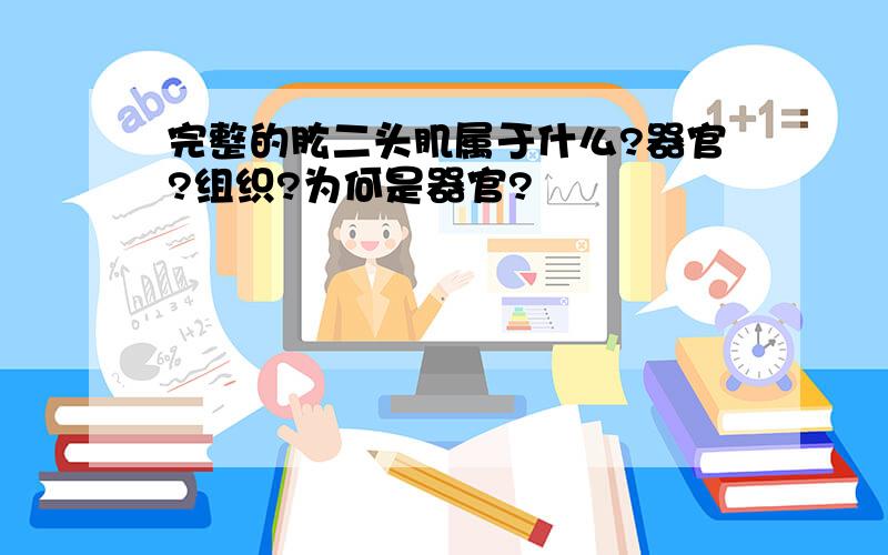 完整的肱二头肌属于什么?器官?组织?为何是器官?