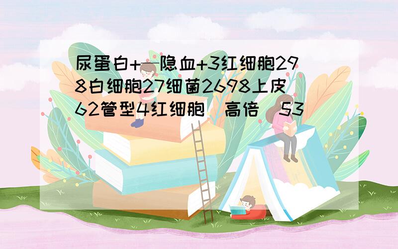 尿蛋白+—隐血+3红细胞298白细胞27细菌2698上皮62管型4红细胞（高倍）53