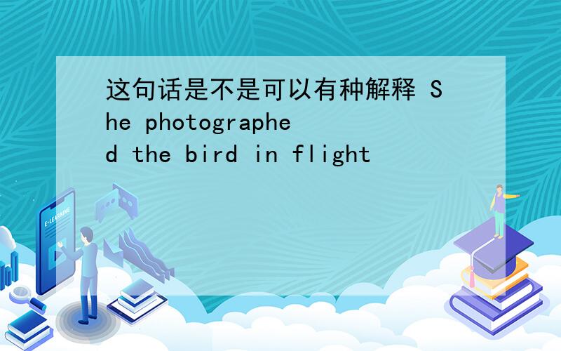 这句话是不是可以有种解释 She photographed the bird in flight