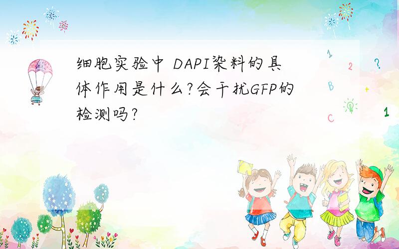 细胞实验中 DAPI染料的具体作用是什么?会干扰GFP的检测吗?