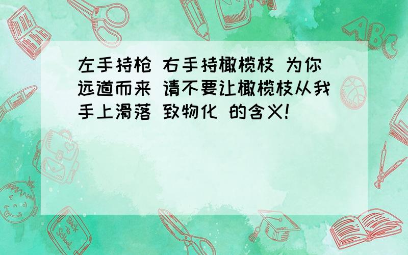 左手持枪 右手持橄榄枝 为你远道而来 请不要让橄榄枝从我手上滑落 致物化 的含义!