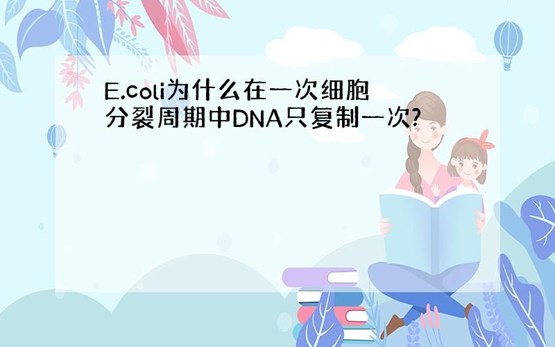 E.coli为什么在一次细胞分裂周期中DNA只复制一次?