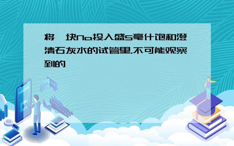 将一块Na投入盛5毫什饱和澄清石灰水的试管里，不可能观察到的