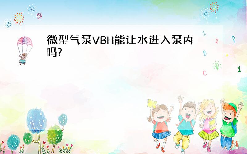 微型气泵VBH能让水进入泵内吗?