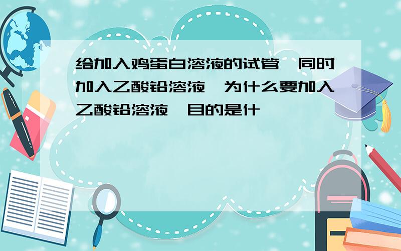 给加入鸡蛋白溶液的试管,同时加入乙酸铅溶液,为什么要加入乙酸铅溶液,目的是什