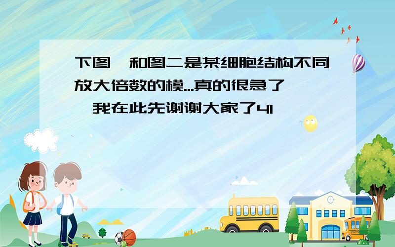 下图一和图二是某细胞结构不同放大倍数的模...真的很急了,我在此先谢谢大家了4I