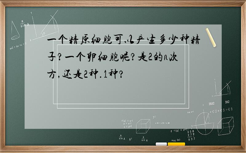 一个精原细胞可以产生多少种精子?一个卵细胞呢?是2的n次方,还是2种.1种?