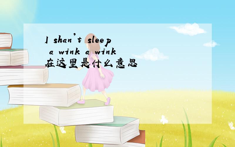 I shan't sleep a wink a wink在这里是什么意思