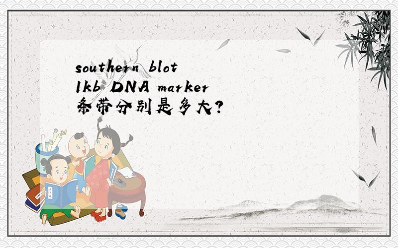 southern blot 1kb DNA marker条带分别是多大?