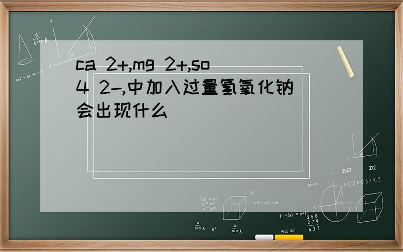 ca 2+,mg 2+,so4 2-,中加入过量氢氧化钠会出现什么