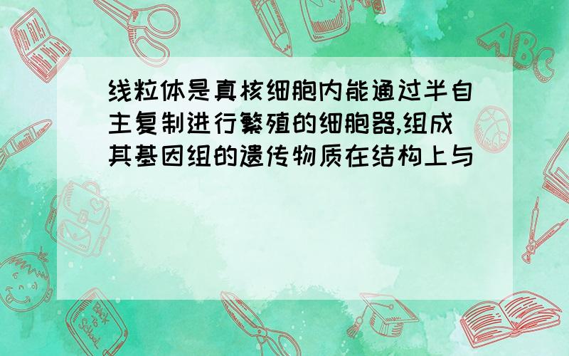 线粒体是真核细胞内能通过半自主复制进行繁殖的细胞器,组成其基因组的遗传物质在结构上与