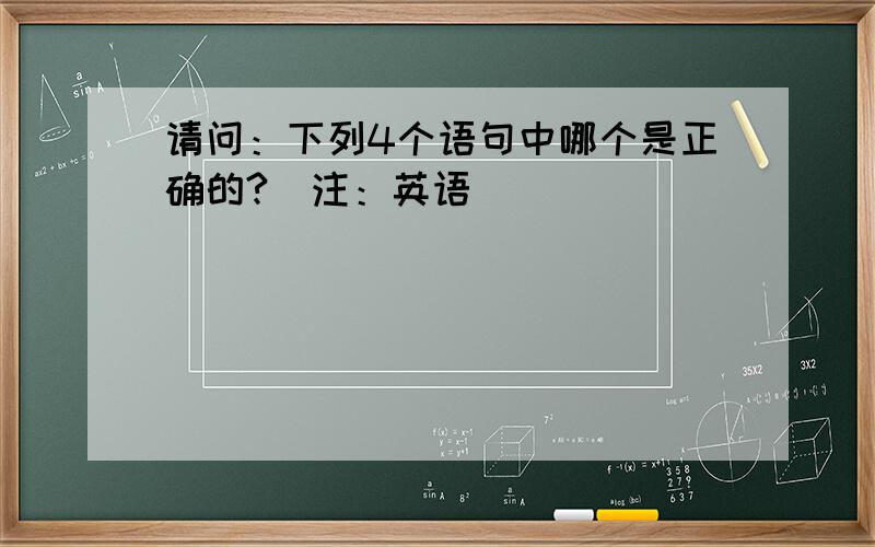 请问：下列4个语句中哪个是正确的?(注：英语)