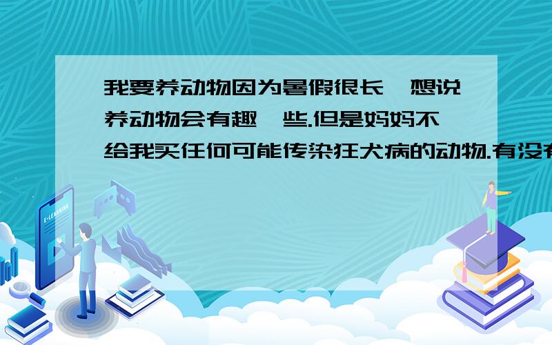 我要养动物因为暑假很长,想说养动物会有趣一些.但是妈妈不给我买任何可能传染狂犬病的动物.有没有长的可爱,聪明又没有狂犬病