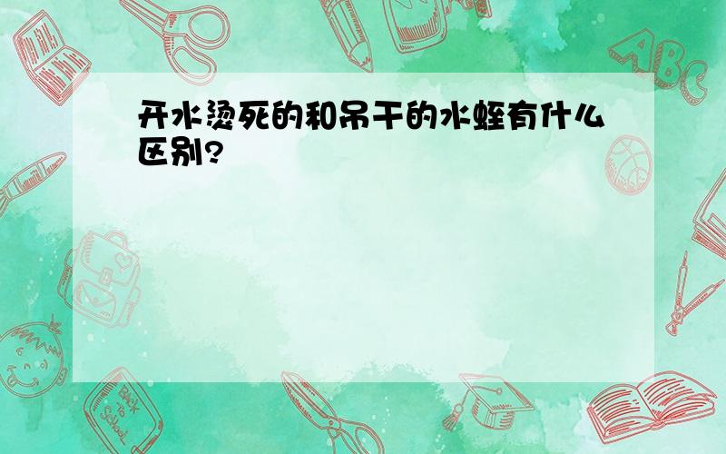 开水烫死的和吊干的水蛭有什么区别?